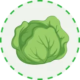 28圈：您的专属娱乐伙伴 - 28圈xinanjie