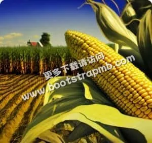 28圈xinanjie为您提供专业、贴心的服务体验。 - 28圈xinanjie